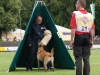 VDH DM 2008, Robert Parak, Peter Scherk, Florian Knabl